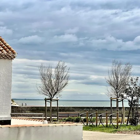 Apartment Cap Sur L'ocean A 50m Plages Et Piscine Naturelle
